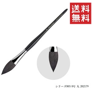 メール便/送料無料 ダヴィンチ 水彩画筆 シリーズ803 8号 丸 202179