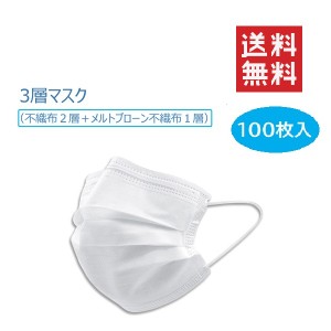 クーポン配布中!! 即納  男女兼用 使い捨て 白 3層構造 不織布マスク 100枚入 飛沫 花粉 普通サイズ プリーツ 大容量 大人マスク ますく 