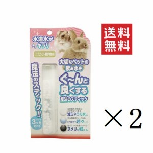 【即納】ビーブラスト B-blast 魔法のスティック小動物用 1本入り×2個セット まとめ買い 水素水 浄水 うさぎ ハムスター 給水 グッズ