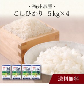 【ポイント２倍】〔 福井県産 こしひかり 〕お取り寄せ 送料無料 内祝い 出産内祝い 新築内祝い 快気祝い ギフト 贈り物