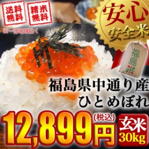 米 お米 令和5年産 福島県中通り産ひとめぼれ 玄米:30kg(白米:約27kg)  精米無料 送料無料 ※沖縄県・離島対応不可