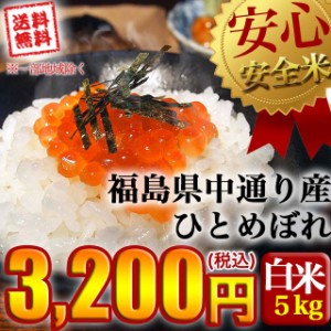 米 お米 令和5年産 福島県中通り産 ひとめぼれ 白米５kg 送料無料 ※一部地域を除く