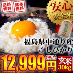 米 お米 令和5年産 福島県中通り産 コシヒカリ 玄米:30kg(白米:約27kg) 精米無料 送料無料 ※沖縄県・離島対応不可