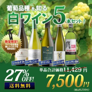 送料無料 葡萄品種を知る白ワイン5本セット