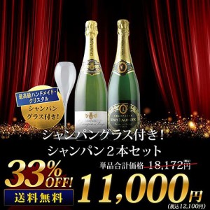 送料無料 シャンパングラス付き！シャンパン2本セット