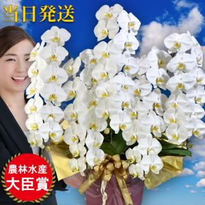 胡蝶蘭 おしゃれの通販 Au Pay マーケット