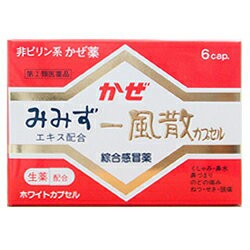 【第(2)類医薬品】成分にて1個限【天真堂製薬】一風散カプセル 6カプセル ※お取り寄せの場合あり (セ税)