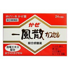 【第(2)類医薬品】成分にて1個限【天真堂製薬】一風散カプセル 24カプセル ※お取り寄せの場合あり