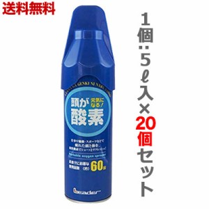 【送料無料の20個セット】【日進医療器】リーダー 携帯用酸素スプレー 5リットル