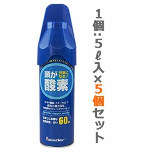 【お得な5個セット】【日進医療器】リーダー 携帯用酸素スプレー 5リットル ※お取り寄せ商品