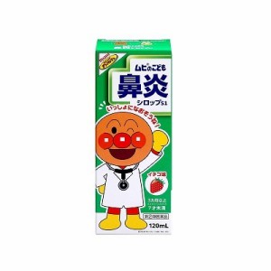 【第(2)類医薬品】【池田模範堂】ムヒのこども鼻炎シロップS1 イチゴ味 120ml【成分にて1個限】 (セ税制)