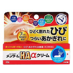 【第3類医薬品】【近江兄弟社】近江兄弟社メンターム HAαクリーム 20g ※取寄せの場合あり