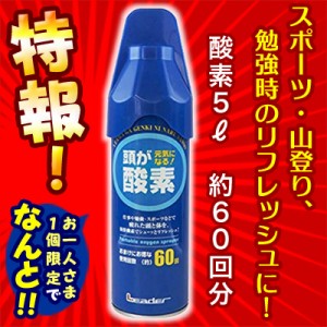 特報！なんと！【日進医療器】リーダー 携帯用酸素スプレー 5リットル が、1人1個限定お試し価格 ※お取り寄せ商品