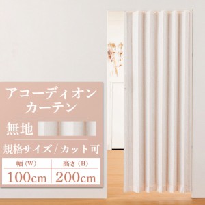 アコーディオンカーテン アコーディオンドア SJ-2 規格品 幅100cm×高さ200cm 間仕切りレール式 後付け 蛇腹 扉 カットできる おしゃれ 