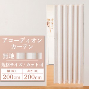 アコーディオンカーテン アコーディオンドア SJ-2 規格品 幅200cm×高さ200cm 間仕切りレール式 後付け 蛇腹 扉 カットできる おしゃれ 