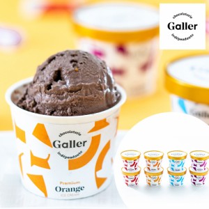 アイス ガレープレミアムアイスクリーム 8個セット 冷凍 ベルギー王室ご用達 Galler チョコレートアイス お取り寄せ グルメ スイーツ ギ