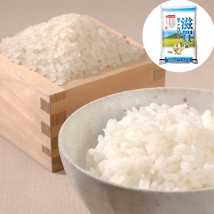 米 滋賀県産 こしひかり 10kg うるち米 精白米 おくさま印 お取り寄せ 直送 ギフト 贈答