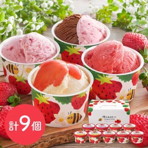 アイス 博多あまおうのこだわりアイス 計9個 冷凍 アイスクリーム デザート いちご 苺 お取り寄せ グルメ ギフト プレゼント