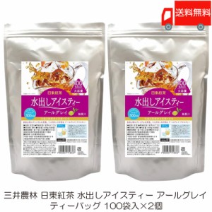 三井農林 日東紅茶 水出しアイスティー アールグレイ ティーバッグ 100袋入 ×2個 送料無料