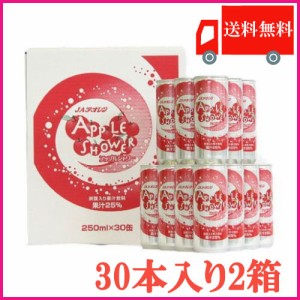 送料無料 アオレン アップルシャワー 250ml 缶30本入×2箱【60本】【JAアオレン/りんごジュース/リンゴジュース/炭酸飲料】