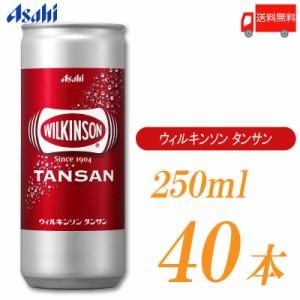 アサヒ飲料 ウィルキンソン タンサン 炭酸水 250ml ×40本 (20本入×2ケース) 送料無料