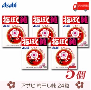 アサヒグループ食品 梅ぼし純 24粒 ×5個 送料無料