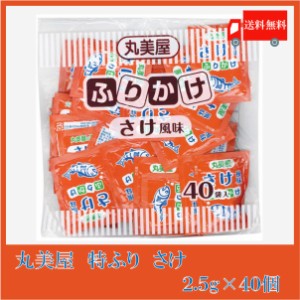 送料無料 丸美屋 特ふり さけ風味 2.5g×40個