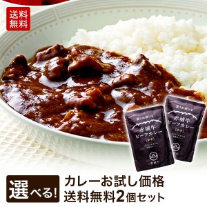 肉 送料無料 ギフト 国産牛 牛肉 赤城牛レトルトビーフカレー 赤城牛ビーフカレー詰合せセット（200g×2） 内祝 御祝