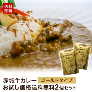 肉 送料無料 ギフト 国産牛 赤城牛カレーゴールドタイプ（G中辛）200ｇ×2【国産牛 牛肉 レトルトカレー 鳥山 送料無料】 内祝 御祝