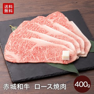 赤城和牛 ロース 焼き肉 焼肉 セット 400g 2~3人前 送料無料 冷凍 バーベキュー ロース サーロイン お取り寄せ グルメ ギフト 黒毛和牛 