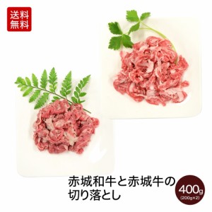 肉 送料無料 ギフト 和牛 黒毛和牛 国産牛 牛肉 ギフト 赤城和牛200gX1パックと赤城牛200gX1パックの切り落とし 【冷凍】 内祝 御祝