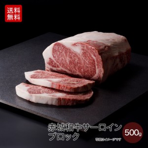 肉 送料無料 ギフト 和牛 黒毛和牛 牛肉 赤城和牛 国産 サーロイン 家庭用 ブロック 500g 内祝 御祝