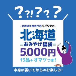 【5000円ポッキリ・13点入】送料込 北海道 お土産 福袋【おまけ付き】ご当地 訳あり 復興福袋 食品ロス フードロス お菓子 おやつ チョコ