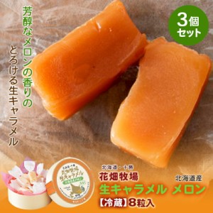 花畑牧場 生キャラメル【北海道産メロン】【8粒入×3箱】【冷蔵】北海道 お土産 キャラメル クリーム 生乳 水飴 ギフト プレゼント お取