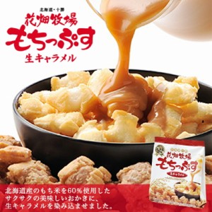 もちっぷす 生キャラメル【100g×10個】花畑牧場 北海道 お土産 おやつ お菓子 和菓子 スイーツ もち おかき キャラメル ギフト プレゼン