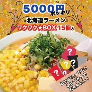 【5000円ポッキリ】【15個入】北海道ラーメン ワクワク★ボックス 有名店 北海道 味噌 醤油 塩 乾麺 生麺 福袋 お楽しみ 詰め合わせ ギフ