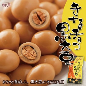 きなチョコ黒大豆【70g】柳月 北海道 お土産 きな粉 チョコ 和菓子 洋菓子 スイーツ ギフト プレゼント お取り寄せ