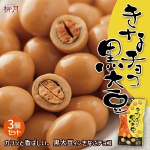 きなチョコ黒大豆【70g×3個】柳月 北海道 お土産 きな粉 チョコ 和菓子 洋菓子 スイーツ ギフト プレゼント お取り寄せ 送料無料