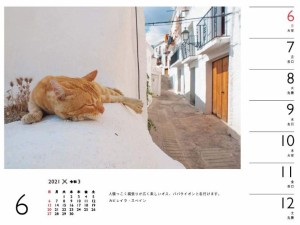 岩合光昭 ねこ カレンダー21 週めくり 卓上 壁掛け リング の通販はau Pay マーケット Atarime Store Au Pay マーケット店 商品ロットナンバー