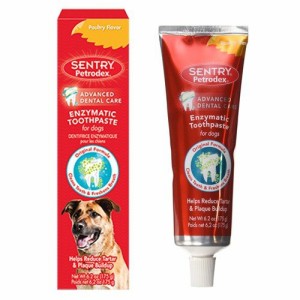 Petrodex（ペトロデックス） 175g　犬用歯磨き粉 / Enzymatic Toothpaste Dog Poultry Flavor, 6.2-Ounce【MB】