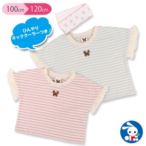 バンダイ)くまのがっこうショート丈袖シフォンボーダー半袖Tシャツ【100cm・110cm・120cm】[半袖 ショート丈 tシャツ キッズ 女の