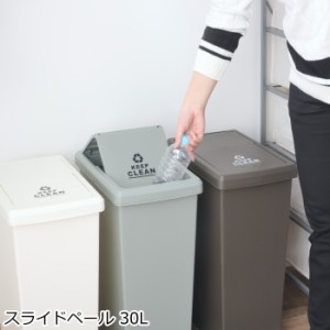 ゴミ箱 スライドペール 30L おしゃれ 分別 ふた付き ダストボックス スライド式       