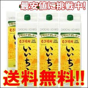 いいちこ 焼酎 25度 1.8L 1800ml パック 2ケースセット（12本入り） 麦焼酎 三和酒類 【地域限定 送料無料】