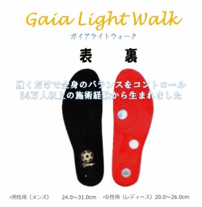 中敷き　Gaia Light Walk ガイアライトウォーク　インソール　送料無料