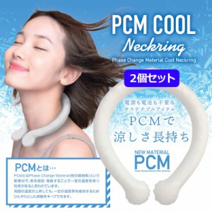 【2個セット】エスケイジャパン ネッククーラー PCM COOL neckring 28-ICE【新品】SKジャパン 暑さ対策 熱中症対策 冷却グッズ 氷嚢 氷の