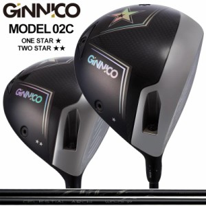 GINNICO MODEL02C 可変式 ドライバー ARCH WD-01 装着 アーチ ジニコ モデル02C Driver One Star / Two star 【カスタム】【新品】 ワン