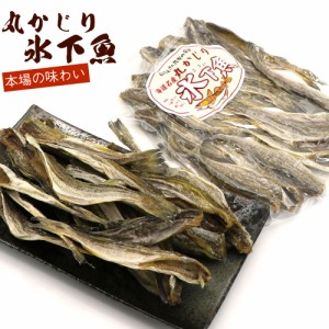 こまい 氷下魚 (小) 丸かじり コマイ 100g 北海道産 小ぶりの 干しこまい 珍味 かんかい 氷下魚 干物 メール便 送料無料 ポイント消化