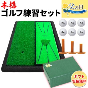 【父の日】 ゴルフセット ギフト プレゼント ゴルフ 練習 マット 34×44cm 人工芝 ターフ 確認 2WAY 素振り スイング 練習用 ボール ゴム