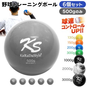 プライオ トレーニング ボール 500g 6個セット 野球 球速アップ 投手 プアボール サンドボール 練習 ウエイトボール 重いボール