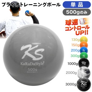 プライオ トレーニング ボール 500g 単品 野球 球速アップ 投手 プアボール サンドボール 練習 ウエイトボール 重いボール